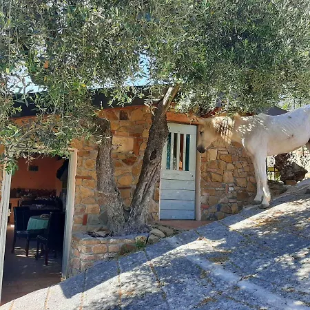 La Casa Del Glicine Apartment *