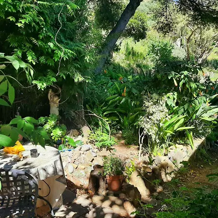 La Casa Del Glicine Sanremo