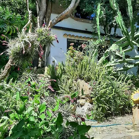 La Casa Del Glicine Sanremo