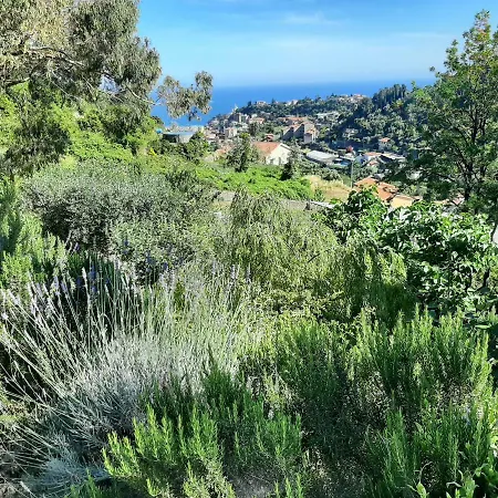 Apartament La Casa Del Glicine San Remo