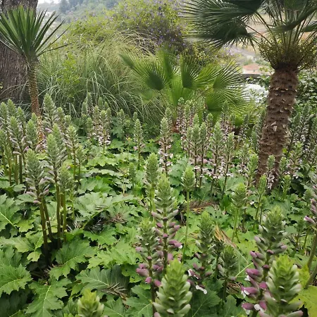 La Casa Del Glicine * San Remo